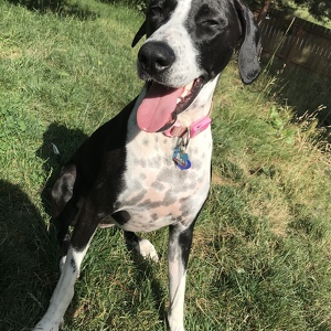 Hannah Segall-Slayton